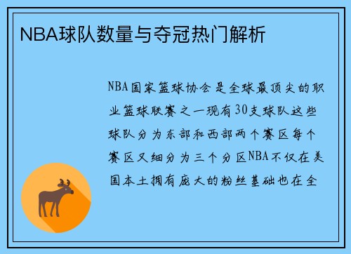 NBA球队数量与夺冠热门解析